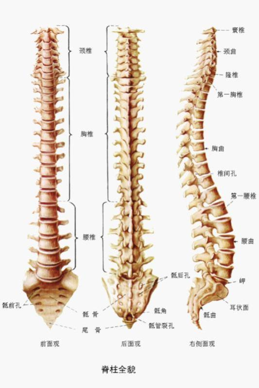 脊柱手术已步入微创时代