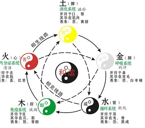 各类型中医体质调理处方