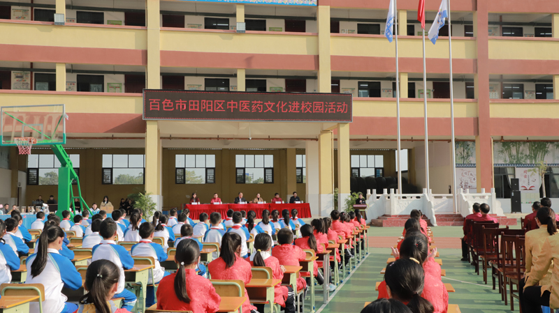 【传承国粹经典 化育时代新生】田阳院区开展中医药文化进校园活动