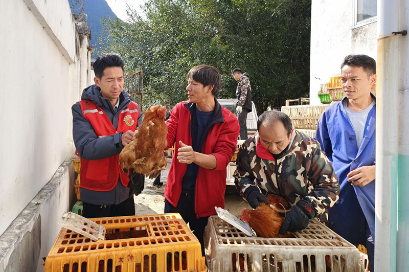 消费帮扶有温度 乡村振兴有力度 ——瑞康医院持续推进消费帮扶 助力乡村振兴